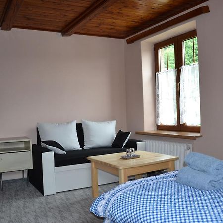 Penzion Pod Severakem Lučany nad Nisou エクステリア 写真