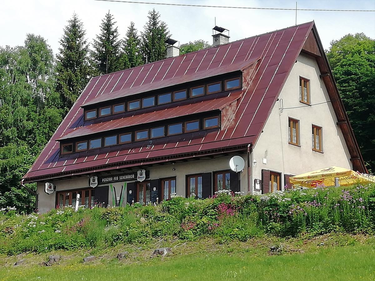 Penzion Pod Severakem Lučany nad Nisou エクステリア 写真